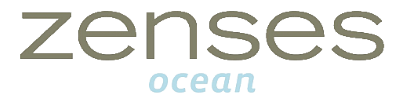 Zenses Ocean title screen for Nintendo DS